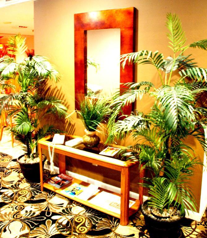 Homestyle Inn And Suites Спрингфилд Экстерьер фото